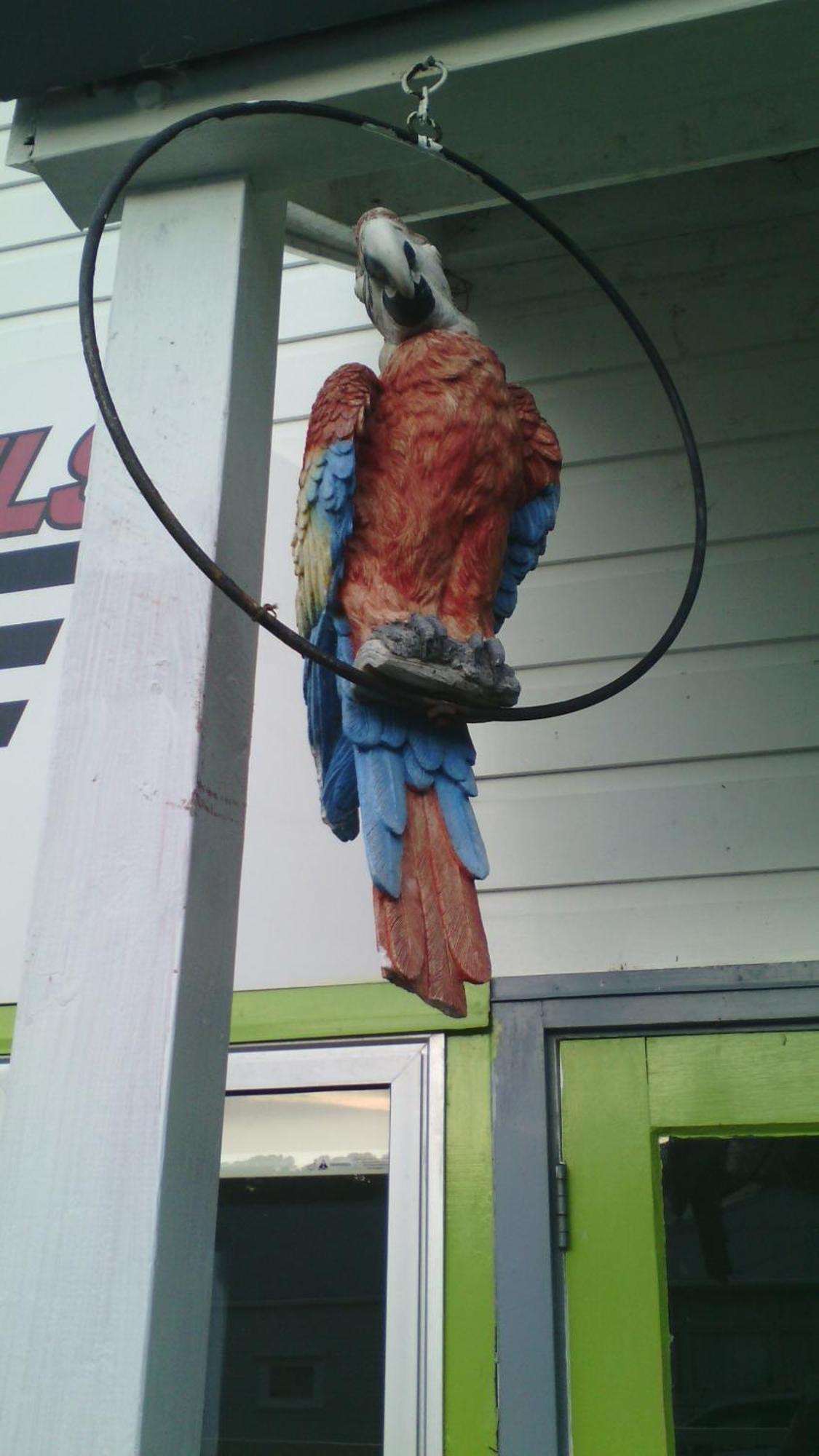 Wellington 747 Motel חדר תמונה